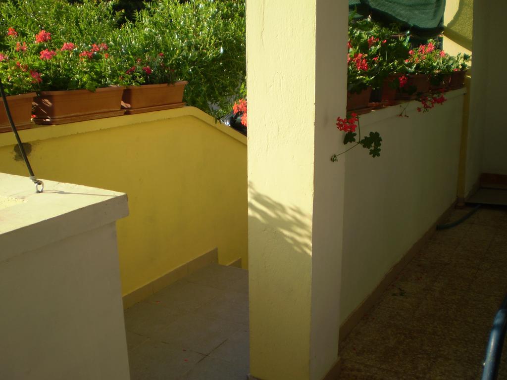 Apartments Kocijan Sukosan Ngoại thất bức ảnh